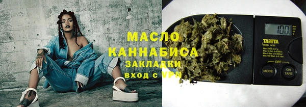 индика Аркадак