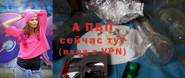 индика Аркадак